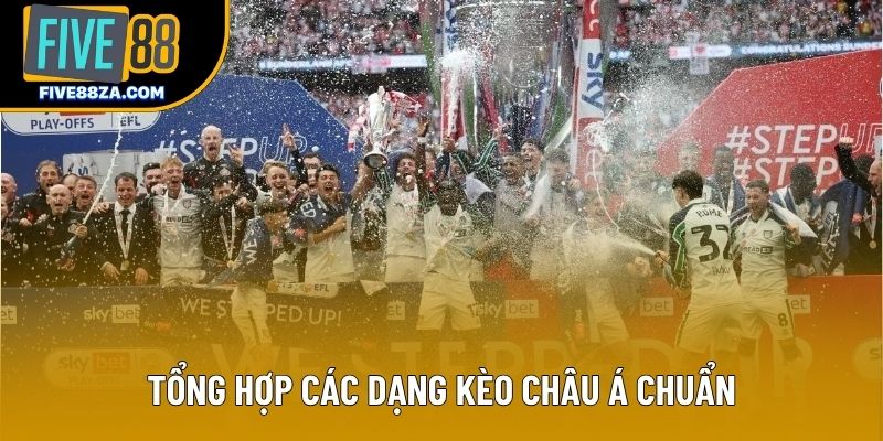 Tổng hợp các dạng kèo châu Á chuẩn