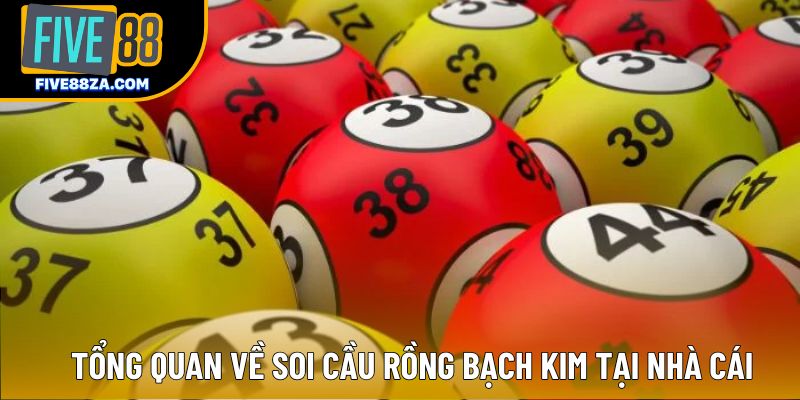 Tổng quan về soi cầu Rồng Bạch Kim tại nhà cái